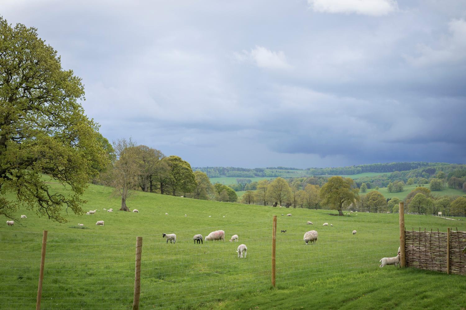 Villa Woodlands Shepherds Hutchatsworth Estate Baslow Exterior foto